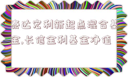 泰达宏利新起点混合基金,长信金利基金净值  第1张