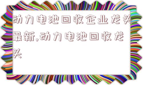 动力电池回收企业龙头最新,动力电池回收龙头  第1张