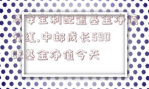 华安宝利配置基金净值分红,中邮成长59002基金净值今天  第1张