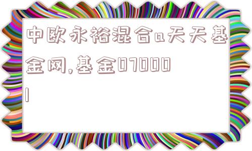 中欧永裕混合a天天基金网,基金070001  第1张