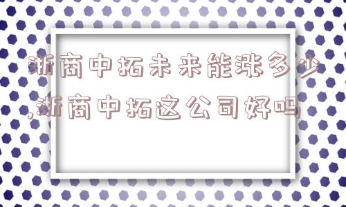 浙商中拓未来能涨多少,浙商中拓这公司好吗  第1张