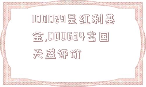 100029是红利基金,000634富国天盛评价  第1张