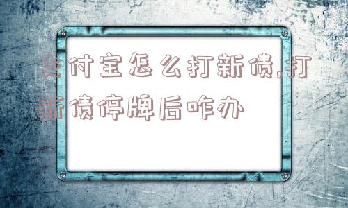 支付宝怎么打新债,打新债停牌后咋办  第1张