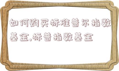 如何购买标准普尔指数基金,标普指数基金  第1张