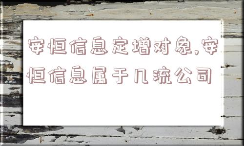 安恒信息定增对象,安恒信息属于几流公司  第1张