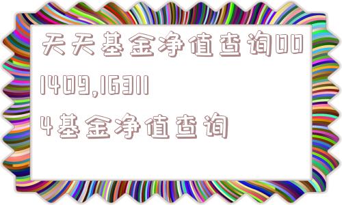 天天基金净值查询001409,163114基金净值查询  第1张