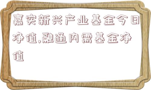 嘉实新兴产业基金今日净值,融通内需基金净值  第1张