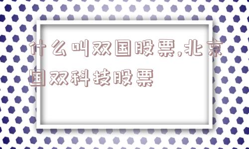 什么叫双国股票,北京国双科技股票  第1张