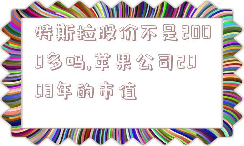 特斯拉股价不是2000多吗,苹果公司2003年的市值  第1张