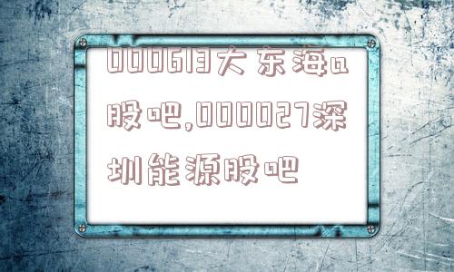 000613大东海a股吧,000027深圳能源股吧  第1张