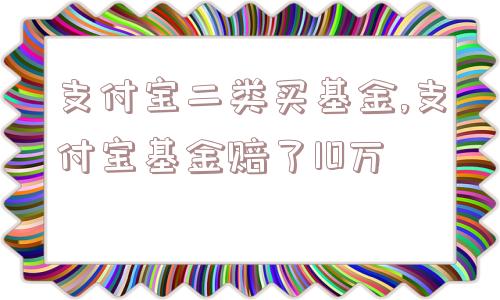 支付宝二类买基金,支付宝基金赔了10万  第1张