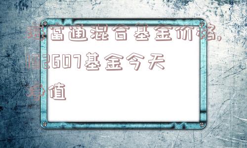 海富通混合基金价格,162607基金今天净值  第1张