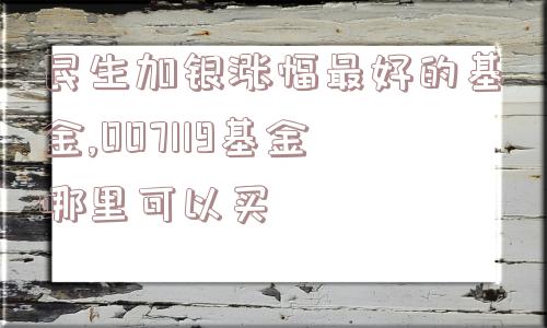 民生加银涨幅最好的基金,007119基金哪里可以买  第1张