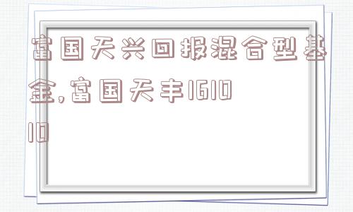 富国天兴回报混合型基金,富国天丰161010  第1张