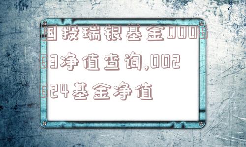 国投瑞银基金000663净值查询,002624基金净值  第1张