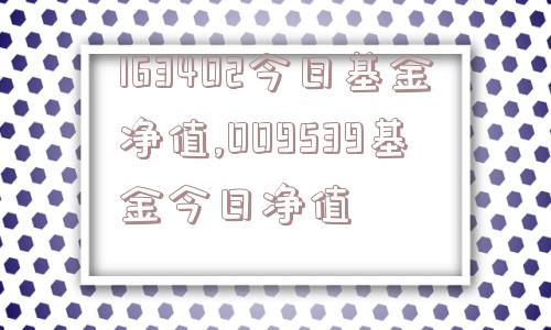 163402今日基金净值,009539基金今日净值  第1张