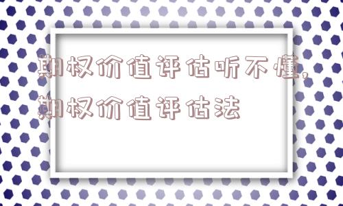 期权价值评估听不懂,期权价值评估法  第1张