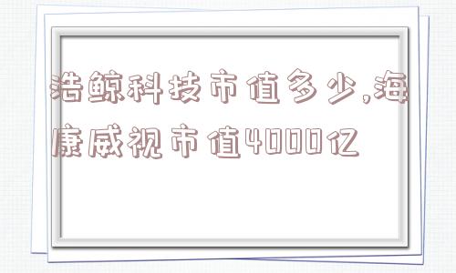 浩鲸科技市值多少,海康威视市值4000亿  第1张