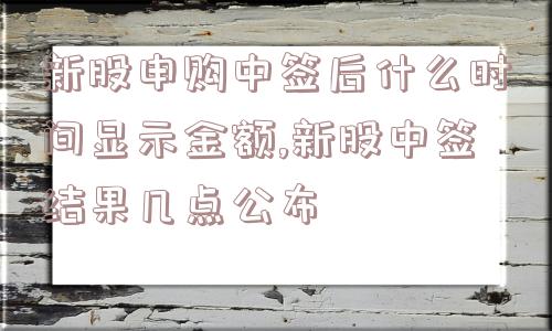 新股申购中签后什么时间显示金额,新股中签结果几点公布  第1张