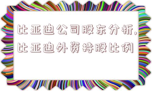 比亚迪公司股东分析,比亚迪外资持股比例  第1张