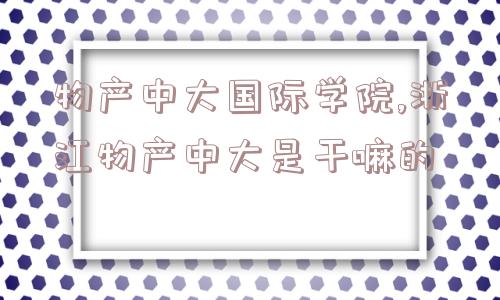 物产中大国际学院,浙江物产中大是干嘛的  第1张