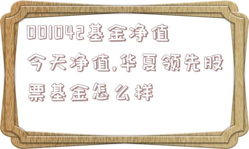 001042基金净值今天净值,华夏领先股票基金怎么样  第1张