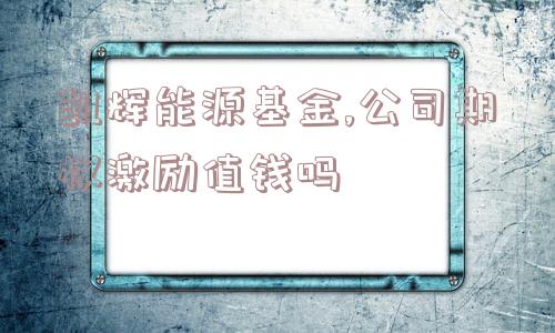 凯辉能源基金,公司期权激励值钱吗  第1张