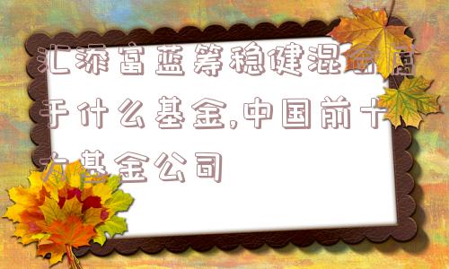 汇添富蓝筹稳健混合属于什么基金,中国前十大基金公司  第1张