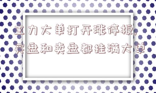 主力大单打开涨停板,买盘和卖盘都挂满大单  第1张