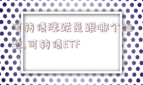 可转债涨跌是跟哪个指数,可转债ETF  第1张