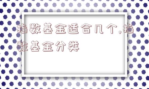 指数基金适合几个,指数基金分类  第1张