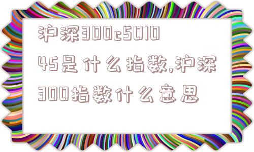 沪深300c501045是什么指数,沪深300指数什么意思  第1张