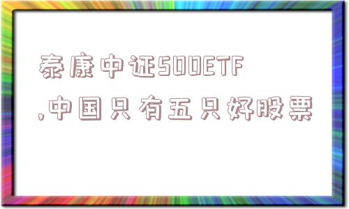 泰康中证500ETF,中国只有五只好股票  第1张