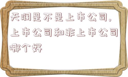 天润是不是上市公司,上市公司和非上市公司哪个好  第1张