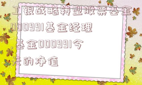 工银战略转型股票基金000991基金经理,基金000991今天的净值  第1张