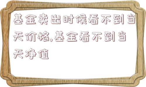 基金卖出时候看不到当天价格,基金看不到当天净值  第1张