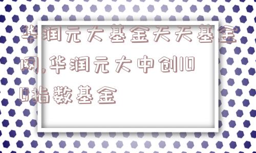 华润元大基金天天基金网,华润元大中创100指数基金  第1张