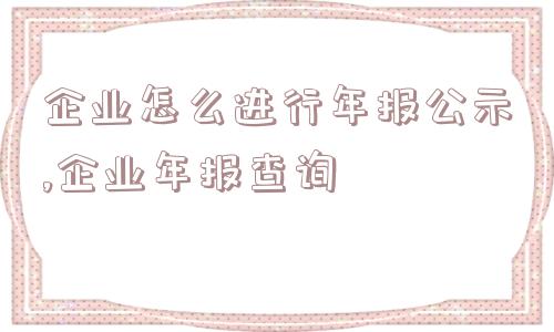 企业怎么进行年报公示,企业年报查询  第1张