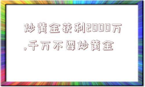 炒黄金获利2000万,千万不要炒黄金  第1张