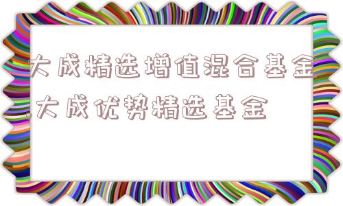 大成精选增值混合基金,大成优势精选基金  第1张