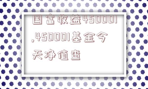 国富收益450001,450001基金今天净值查  第1张