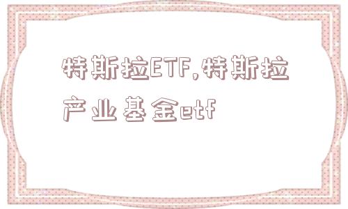 特斯拉ETF,特斯拉产业基金etf  第1张