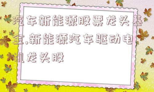 汽车新能源股票龙头基金,新能源汽车驱动电机龙头股  第1张