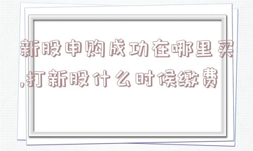 新股申购成功在哪里买,打新股什么时候缴费  第1张