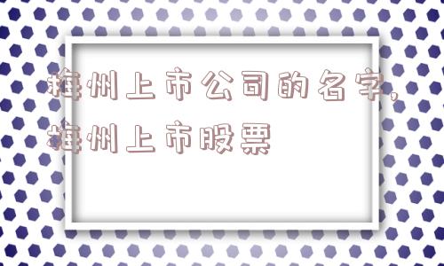 梅州上市公司的名字,梅州上市股票  第1张