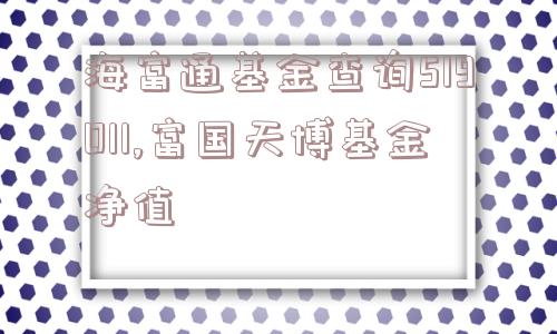 海富通基金查询519011,富国天博基金净值  第1张