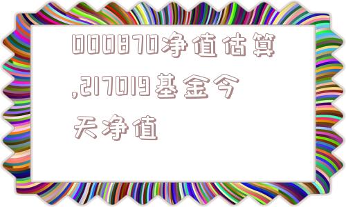 000870净值估算,217019基金今天净值  第1张