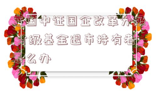 富国中证国企改革分级,分级基金退市持有者怎么办  第1张