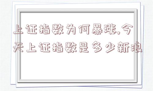 上证指数为何暴涨,今天上证指数是多少新浪  第1张