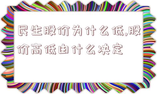 民生股价为什么低,股价高低由什么决定  第1张